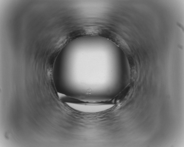 X0000097780329200803211804