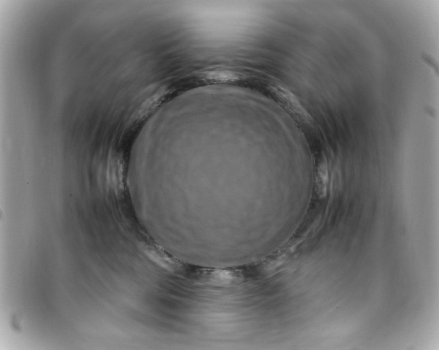 X0000097780330200803211804