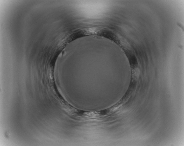 X0000097780331200803211804