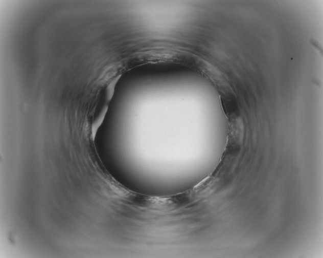 X0000097780333200803211804