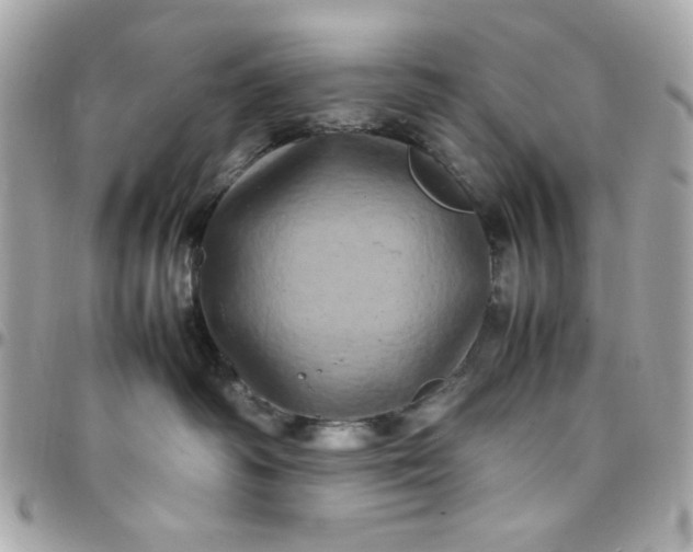 X0000097780334200803211804