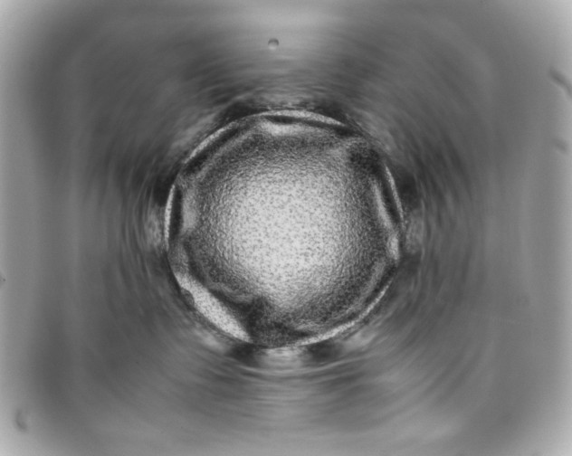 X0000097780335200803211804