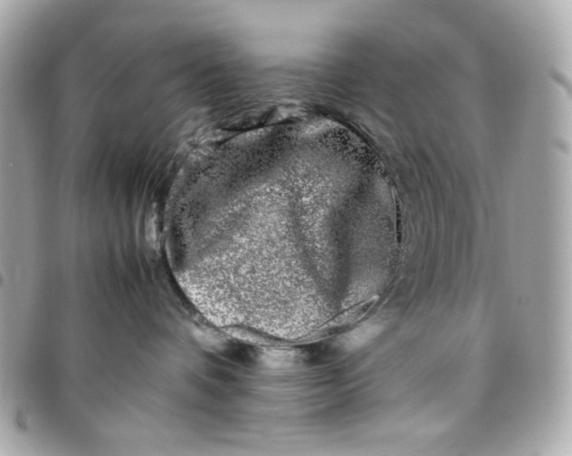 X0000097780336200803211804