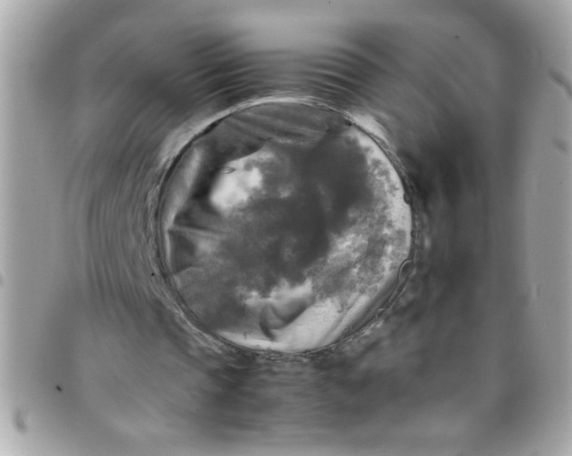 X0000097780337200803211804