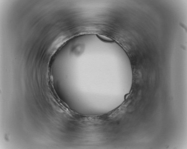 X0000097780338200803211804