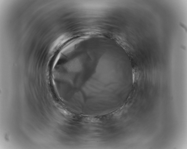 X0000097780339200803211804