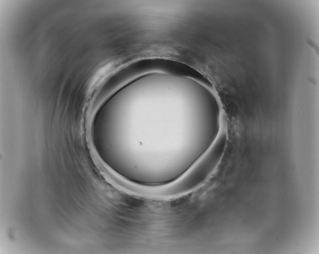 X0000097780340200803211804