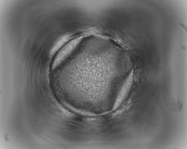 X0000097780341200803211804