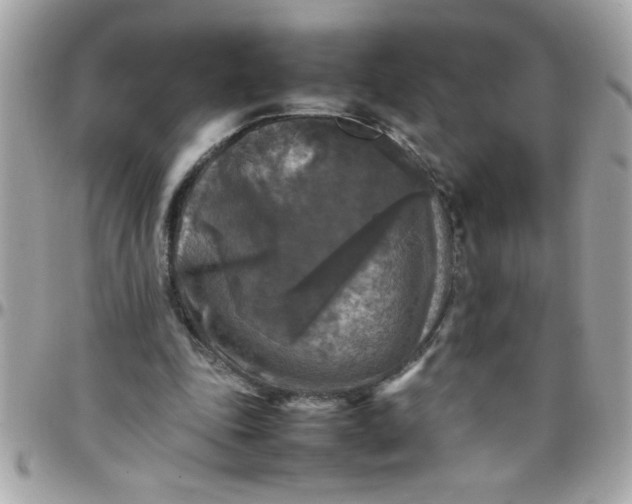 X0000097780343200803211804