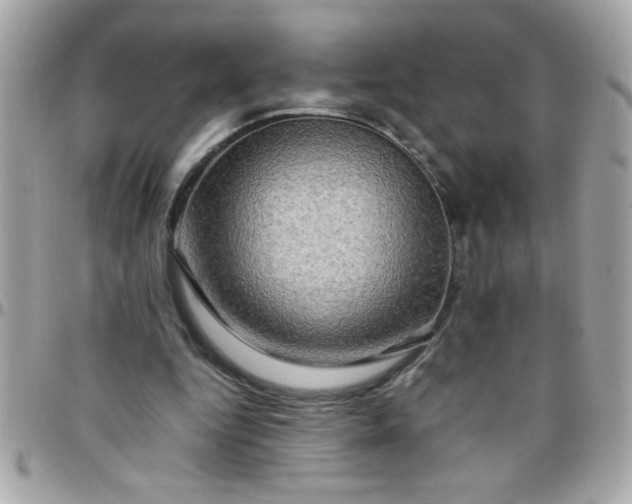 X0000097780344200803211804