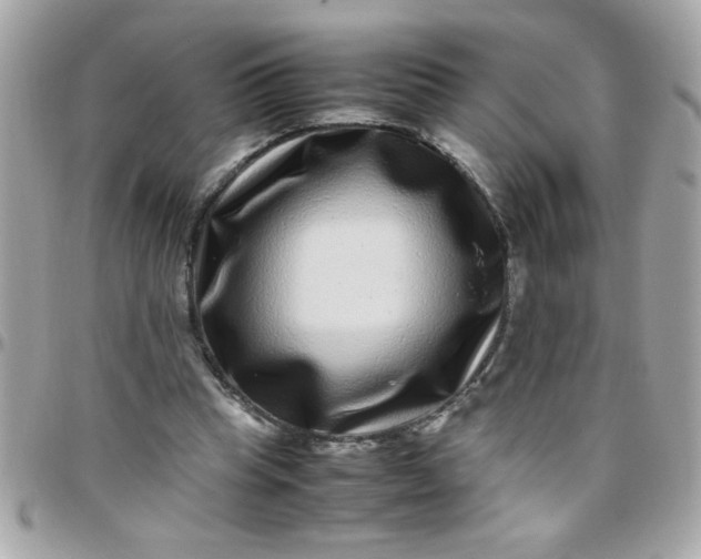 X0000097780345200803211804