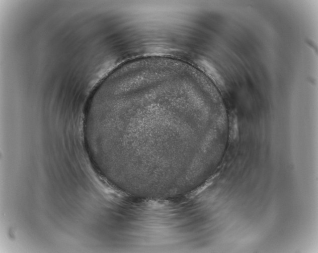 X0000097780346200803211804