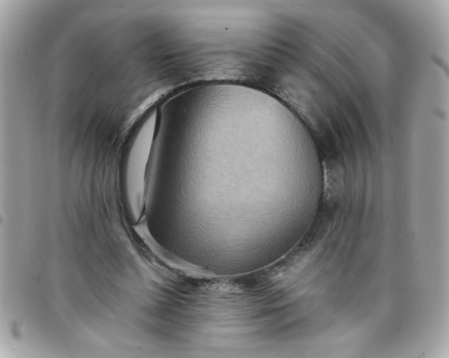 X0000097780348200803211804