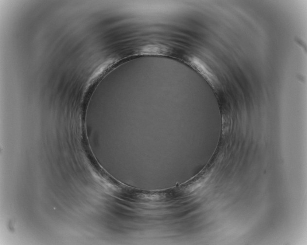 X0000097780349200803211804