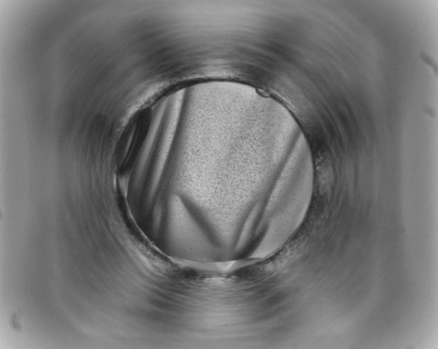 X0000097780350200803211804