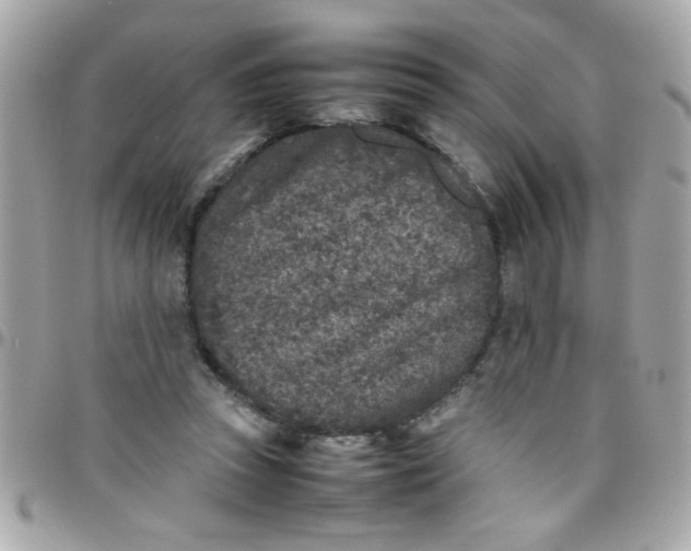 X0000097780353200803211804