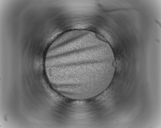 X0000097780354200803211804