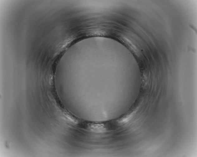 X0000097780355200803211804