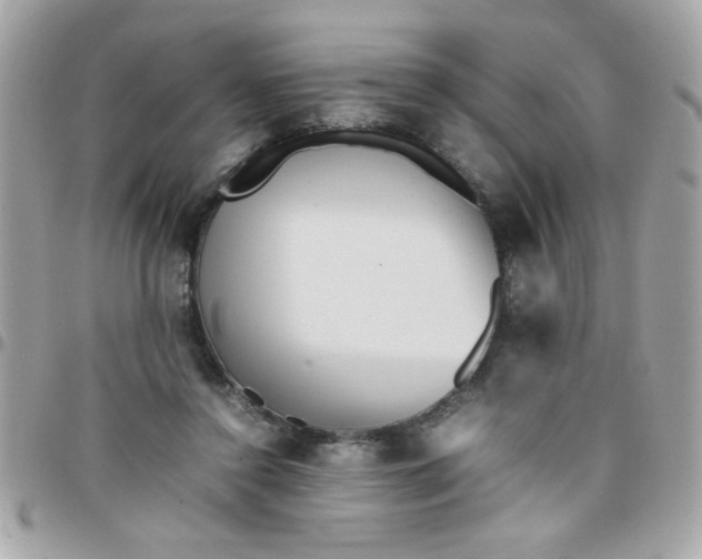 X0000097780356200803211804