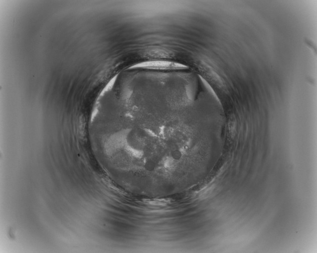 X0000097780359200803211804