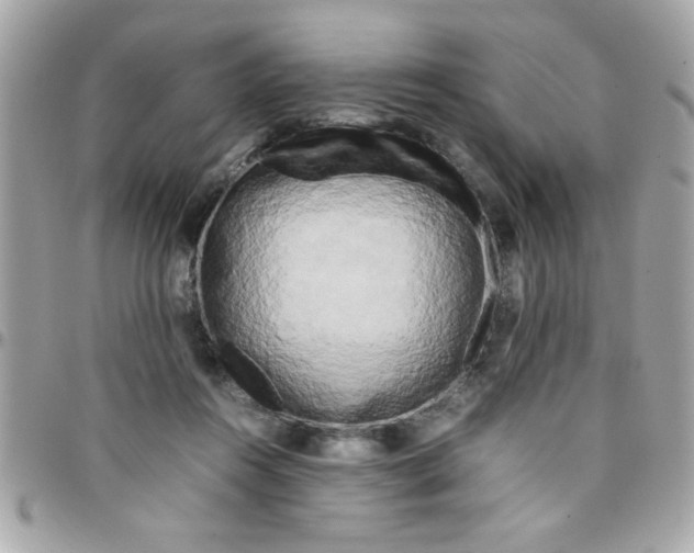 X0000097780360200803211804