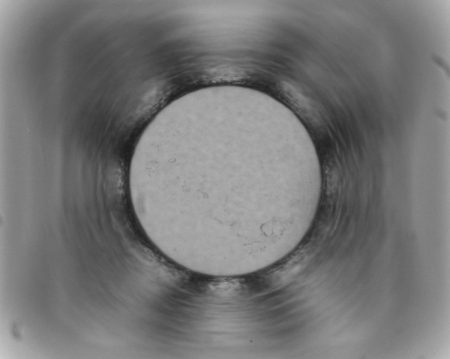 X0000097780362200803211804