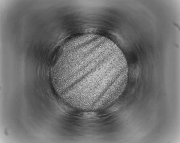 X0000097780363200803211804