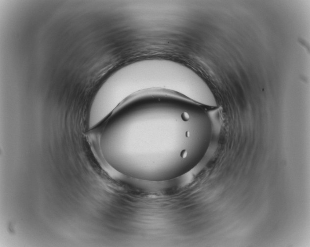 X0000097780364200803211804