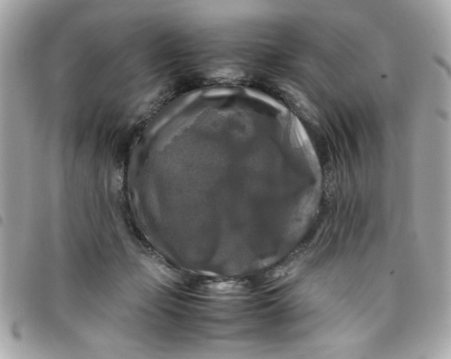 X0000097780365200803211804