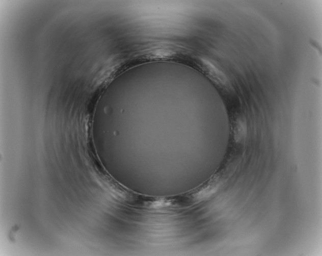 X0000097780366200803211804