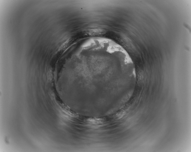 X0000097780367200803211804