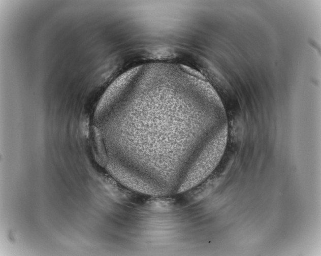 X0000097780368200803211804