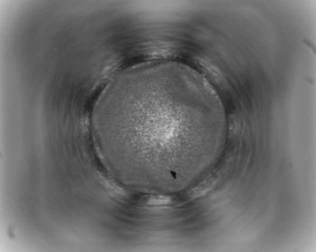 X0000097780369200803211804