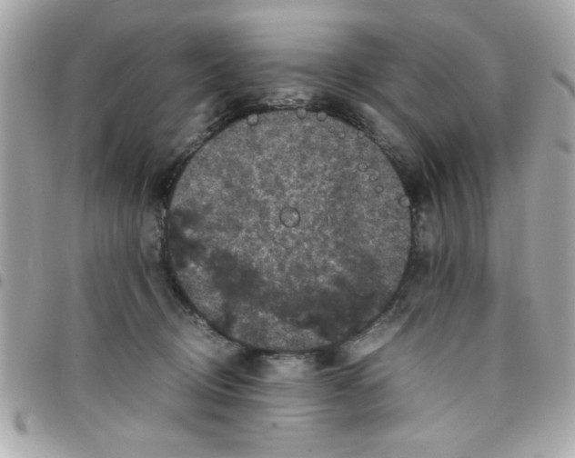 X0000097780370200803211804