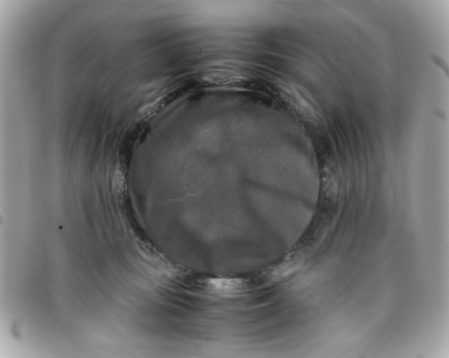 X0000097780371200803211804