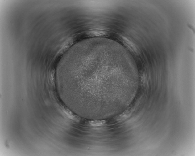 X0000097780373200803211804