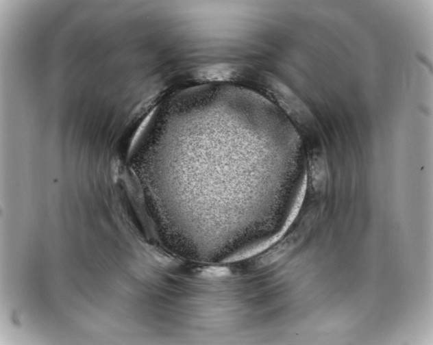 X0000097780374200803211804