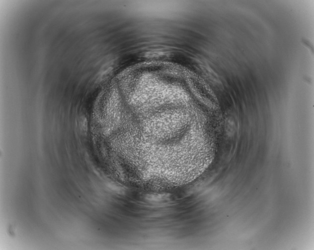 X0000097780375200803211804