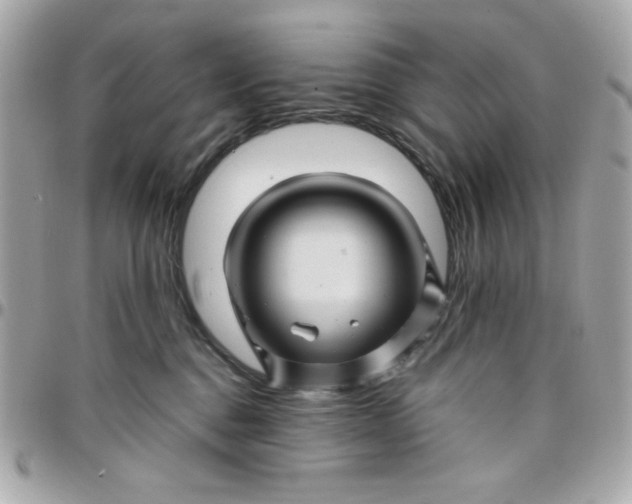 X0000097780376200803211804