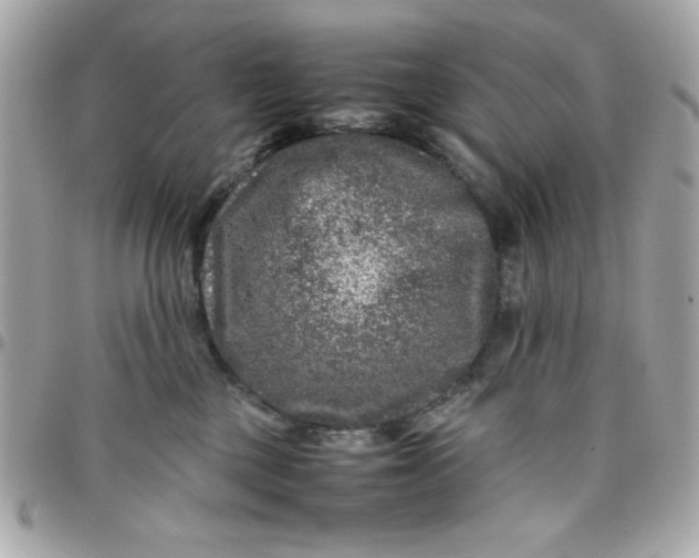 X0000097780377200803211804