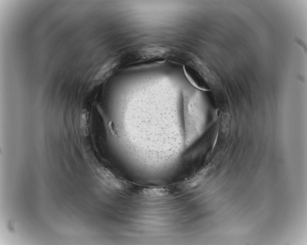 X0000097780378200803211804