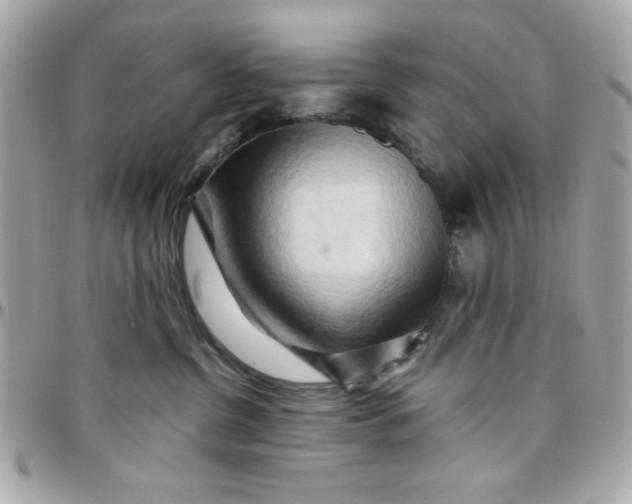 X0000097780380200803211804