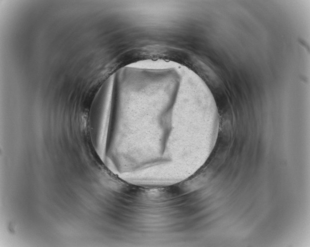 X0000097780382200803211804