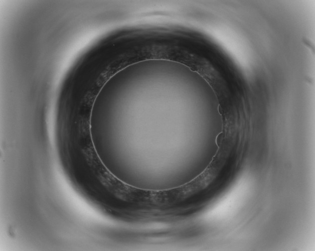 X0000097780383200803211804