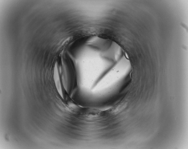 X0000097780384200803211804