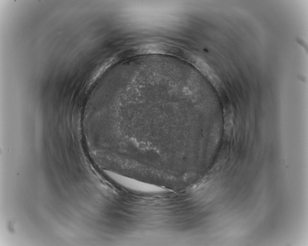 X0000097780386200803211804