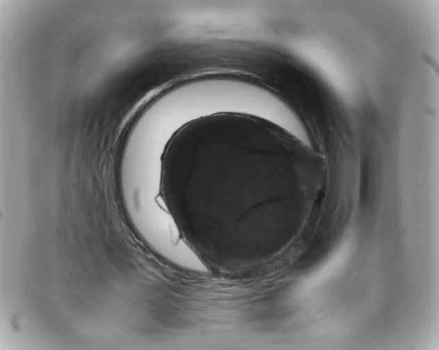 X0000097780387200803211804