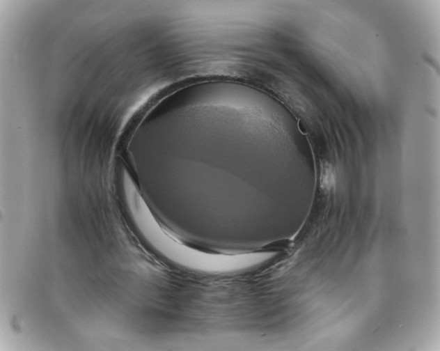 X0000097780388200803211804