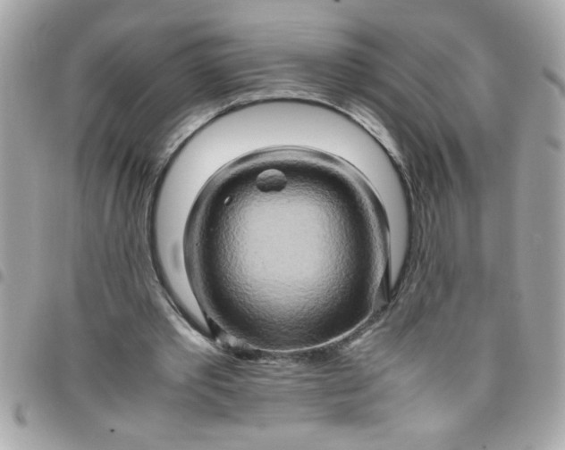 X0000097780389200803211804