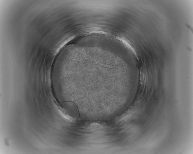 X0000097780390200803211804